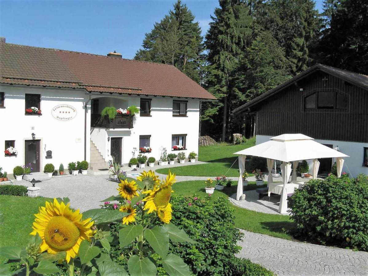 Ferienwohnung Hopfinger Hohenau Exteriér fotografie